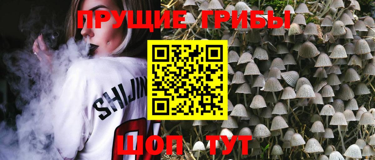 Галлюциногенные грибы мухоморы  наркота  Чехов  Вход с VPN 