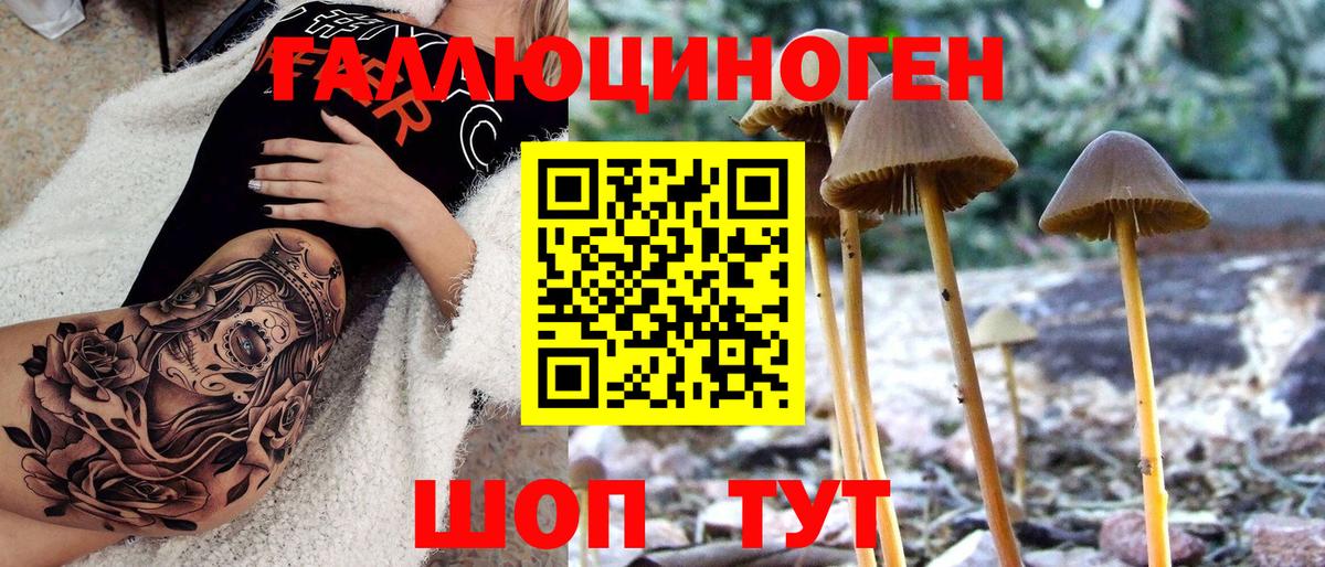 Псилоцибиновые грибы мухоморы Чехов